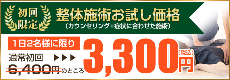 初回限定3,300円